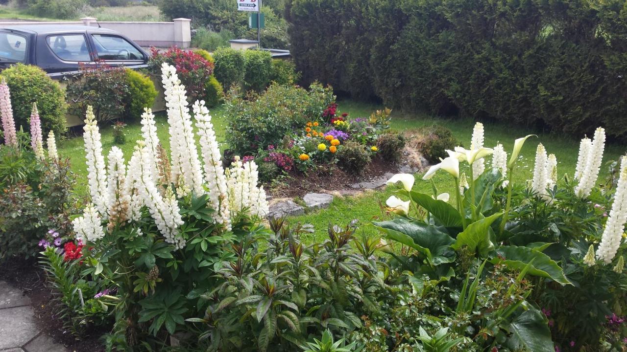 Riverwalk House B&B Oughterard Eksteriør bilde